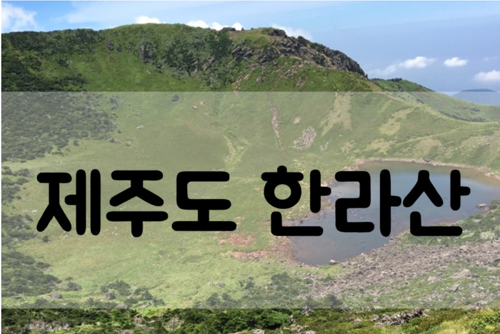 한라여행사 이미지