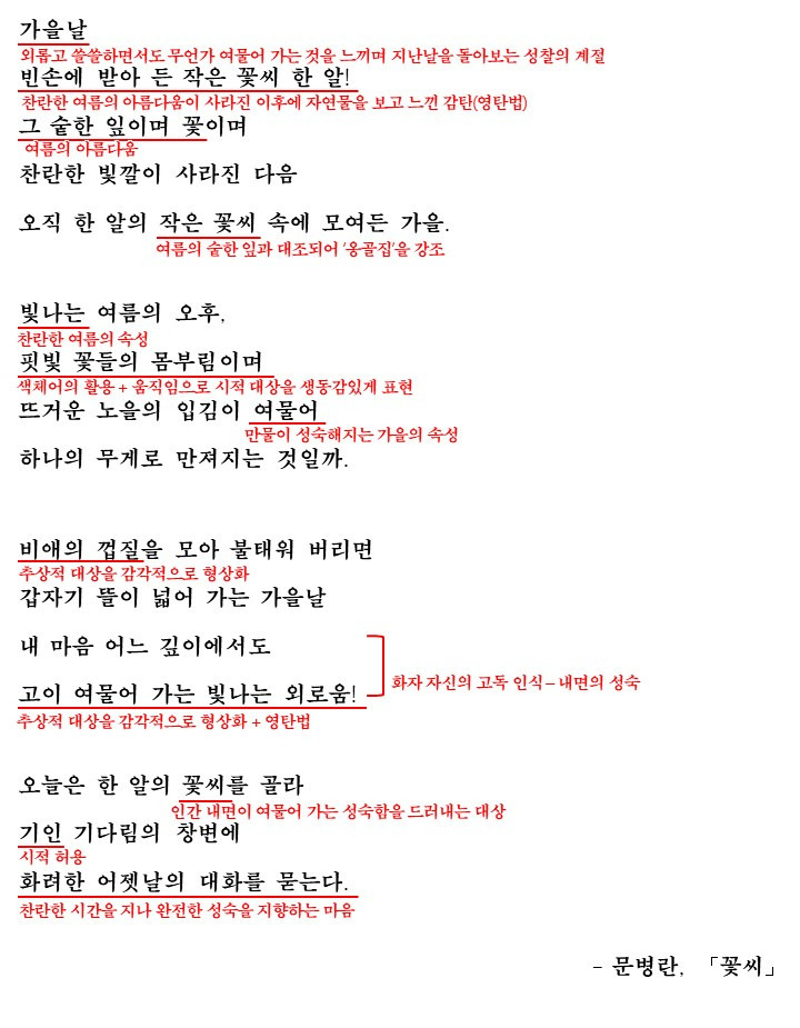 꽃씨 이미지