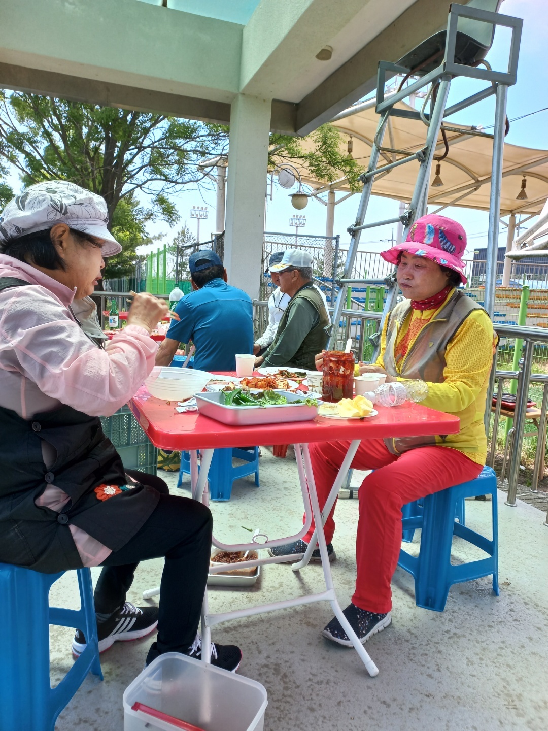 오월돼지 이미지