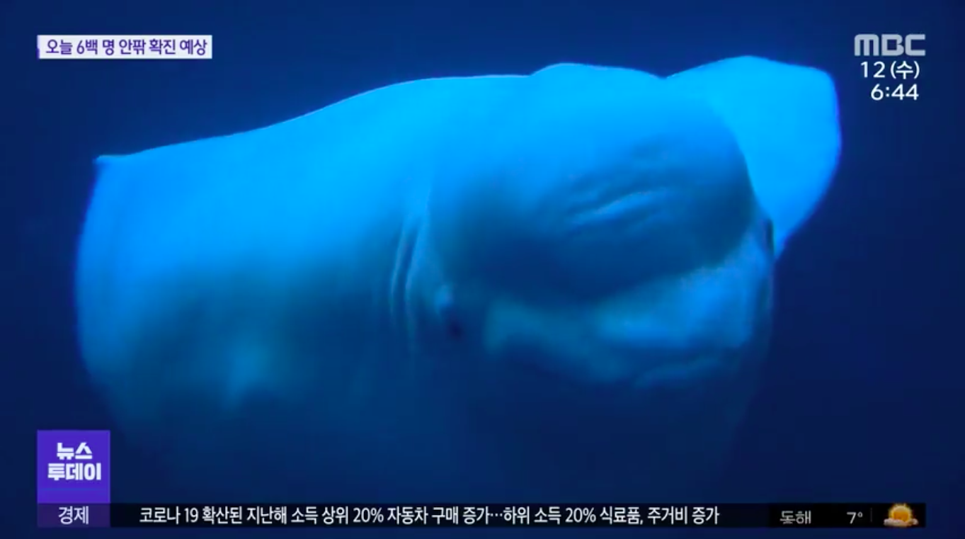 (주)여수투데이 이미지