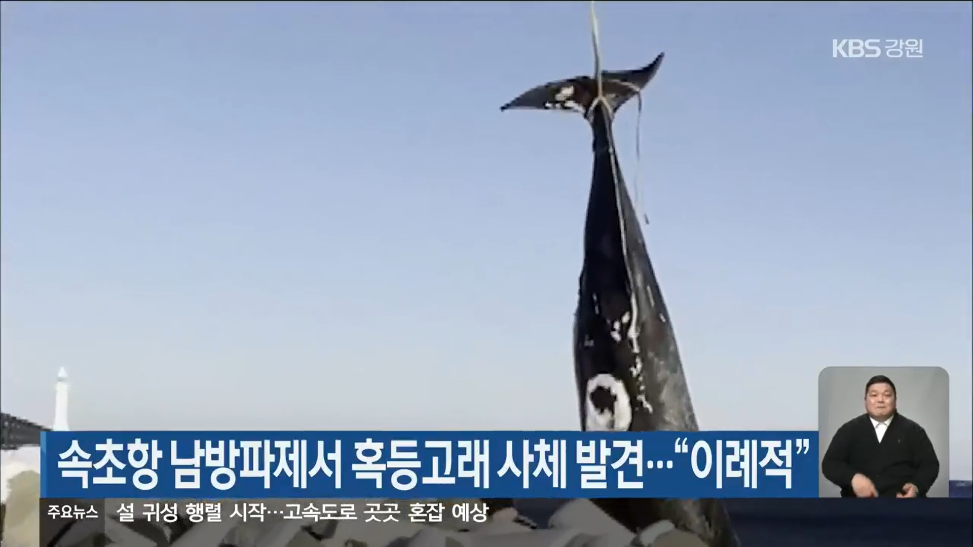 고래인력 이미지