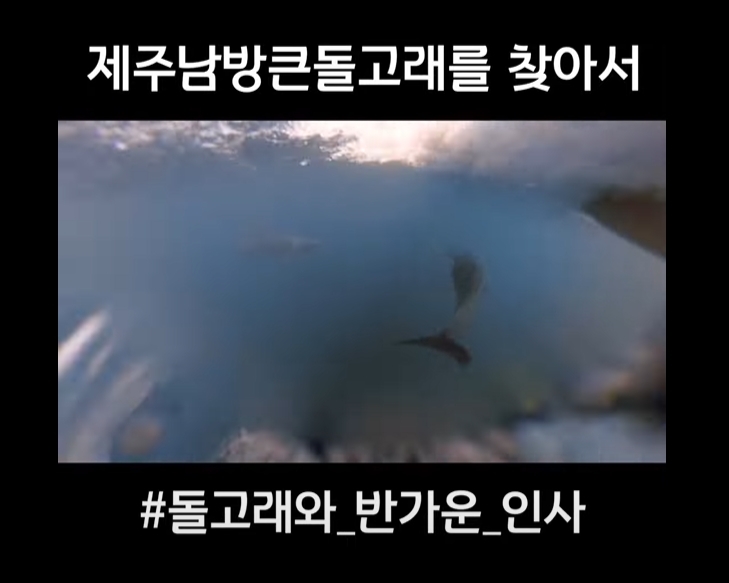 제주영상문화연구원 이미지