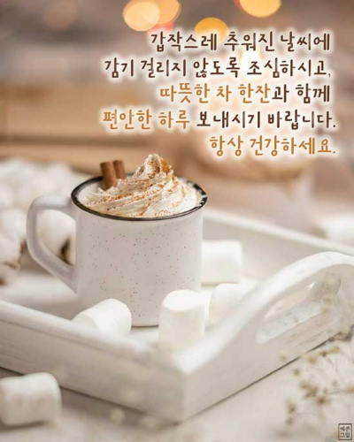 빨리셀프 이미지