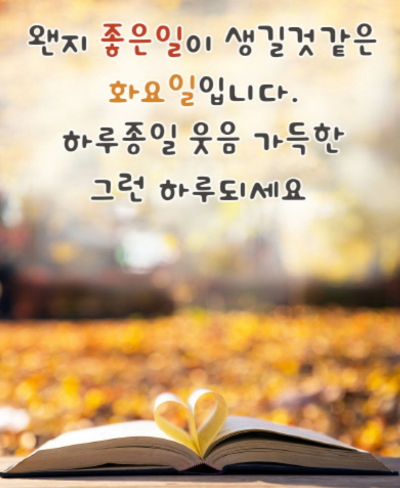 예쁜하루 이미지