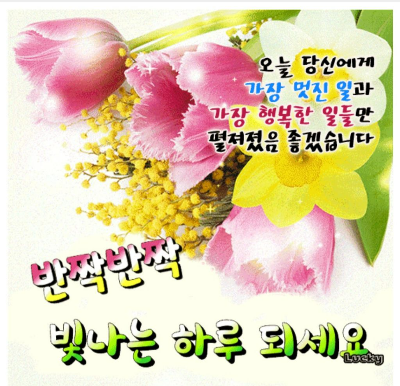 오늘하루 이미지