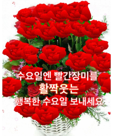 행복한하루 이미지