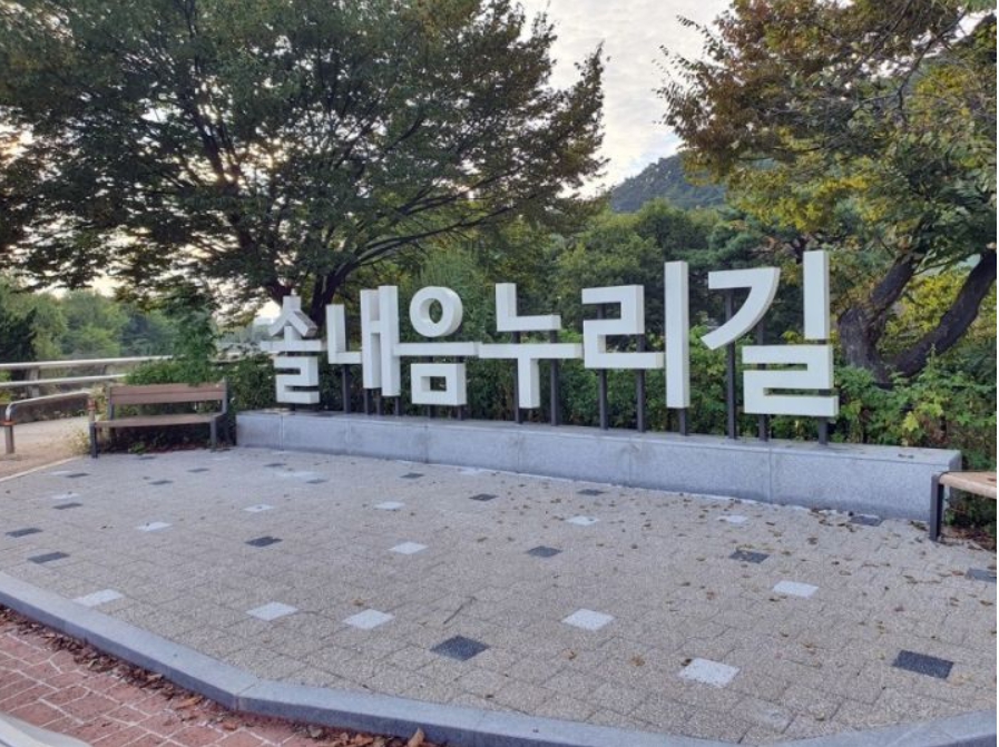 솔내음 이미지