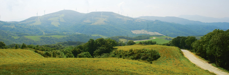 목장 이미지