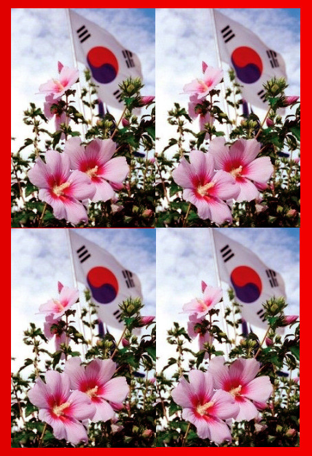 KS music 이미지