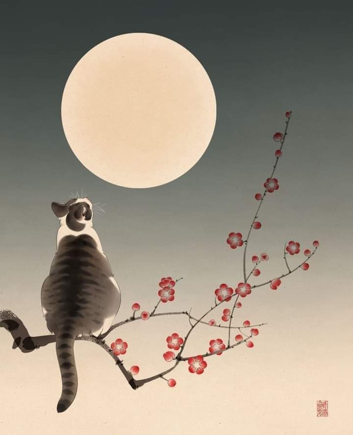 풀문(FullMoon) 이미지
