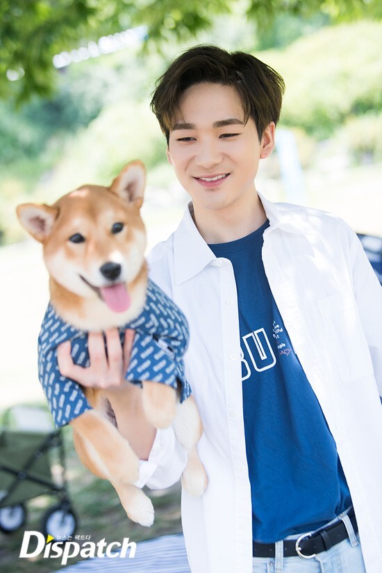 노아 이미지