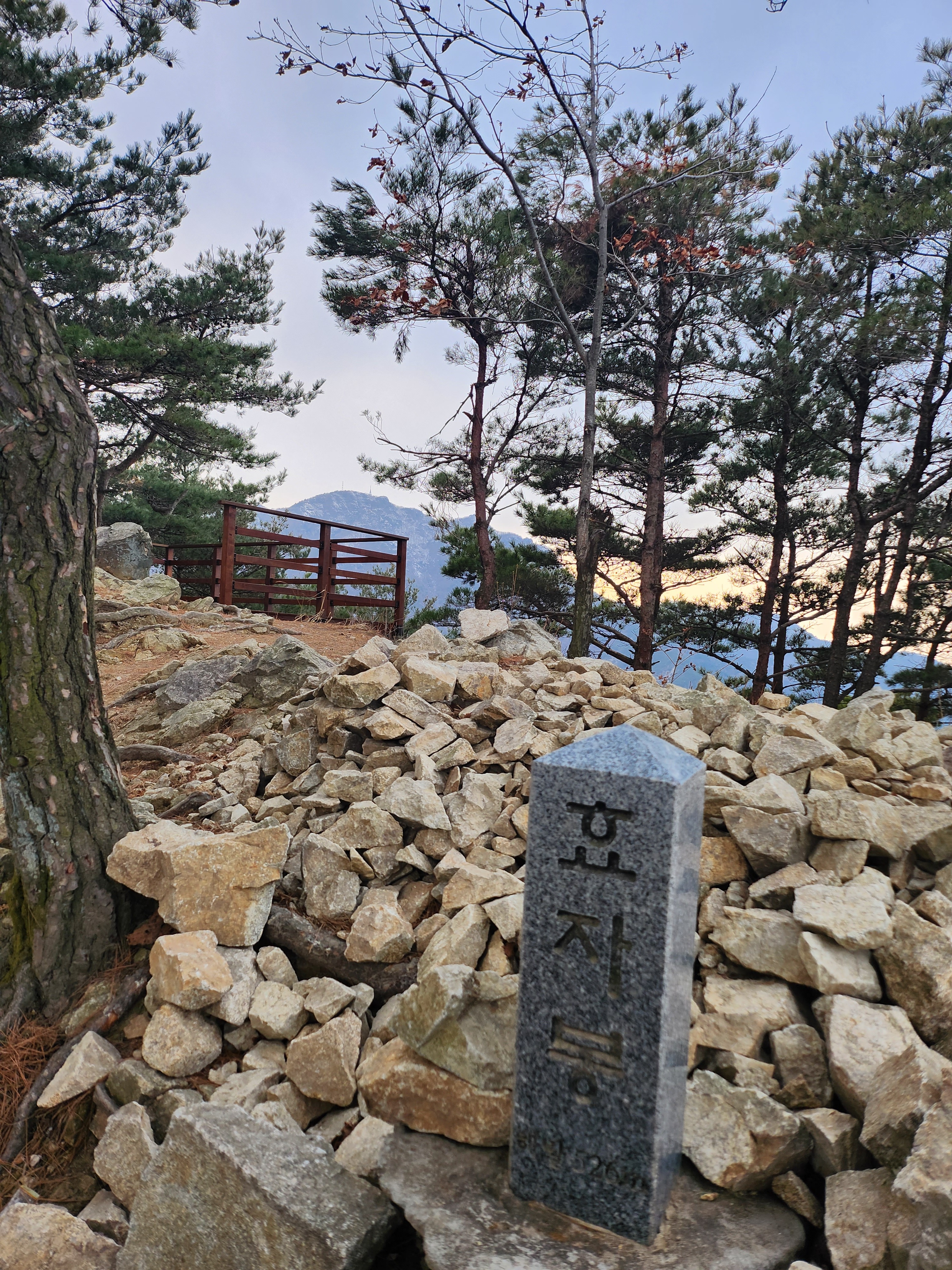 돼지꿈꾸는집 이미지