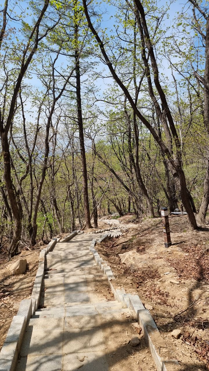 늑대와여우 이미지