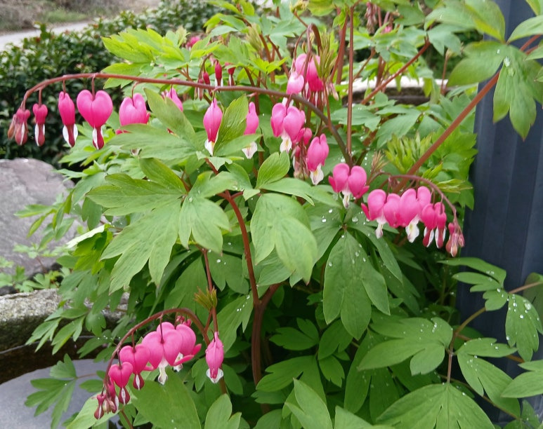 050e2c858d8b532a9dd73456d637f2b598d97608