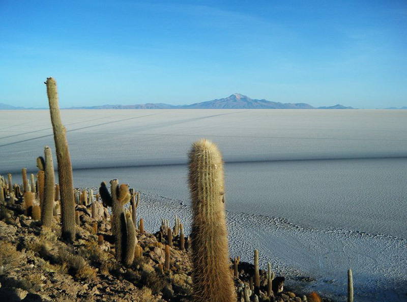 우유니(UYUNI) 이미지