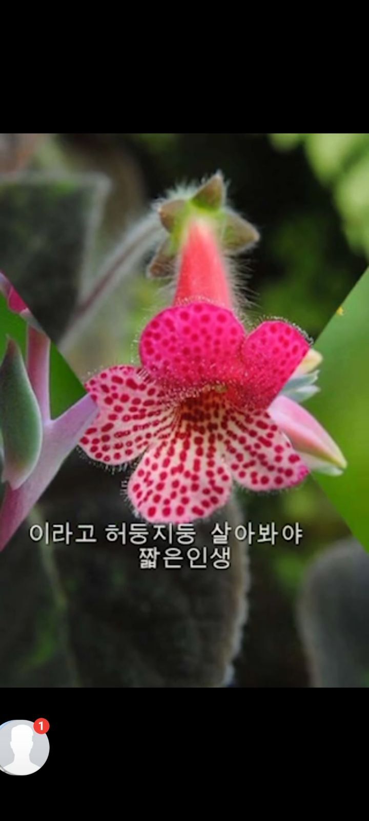 심수 이미지