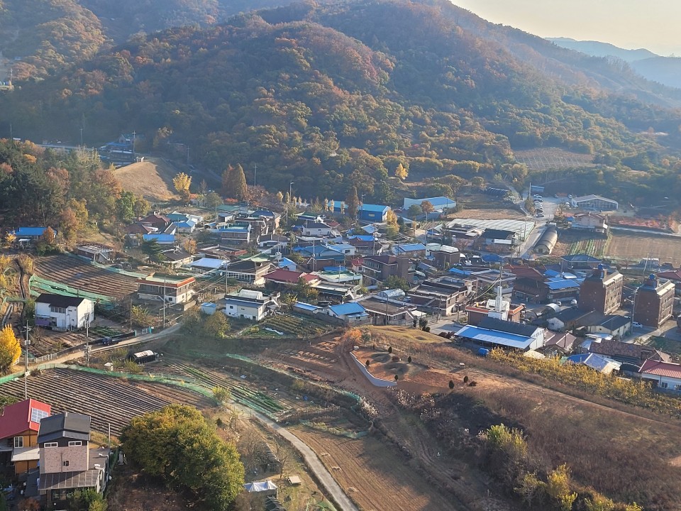 남창(다복)마을 11월 깊어가는 가을 - 남창마을 사진 자료실 - 남창마을