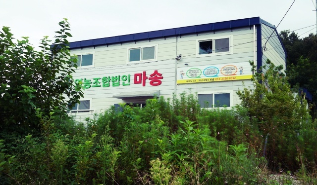 마송영농조합법인 이미지