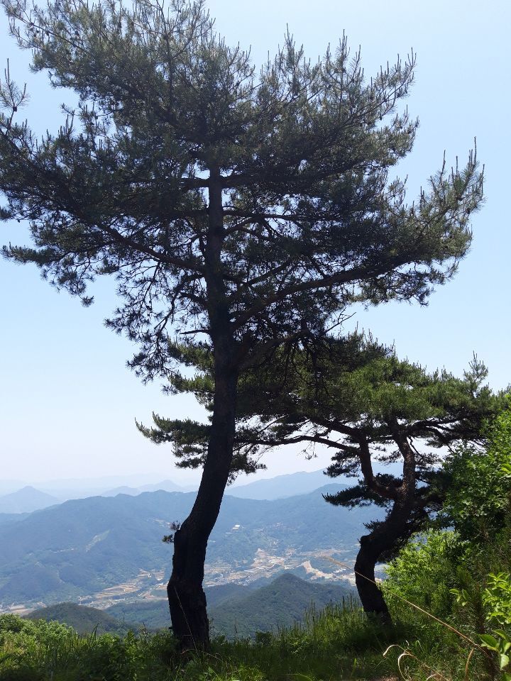 정원테크 이미지