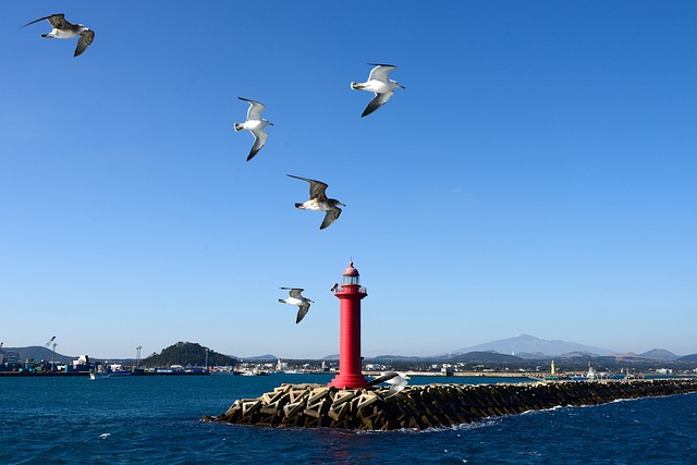 성산포 이미지