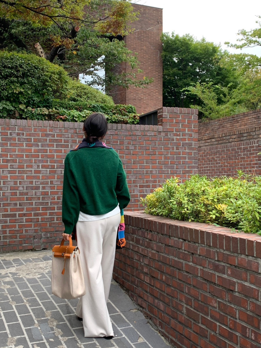 헤어리나 이미지