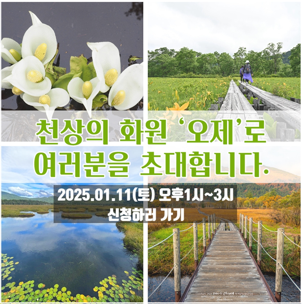 행복한화원 이미지
