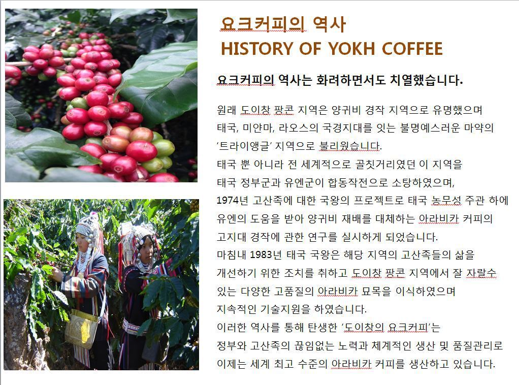도이창커피농장 이미지