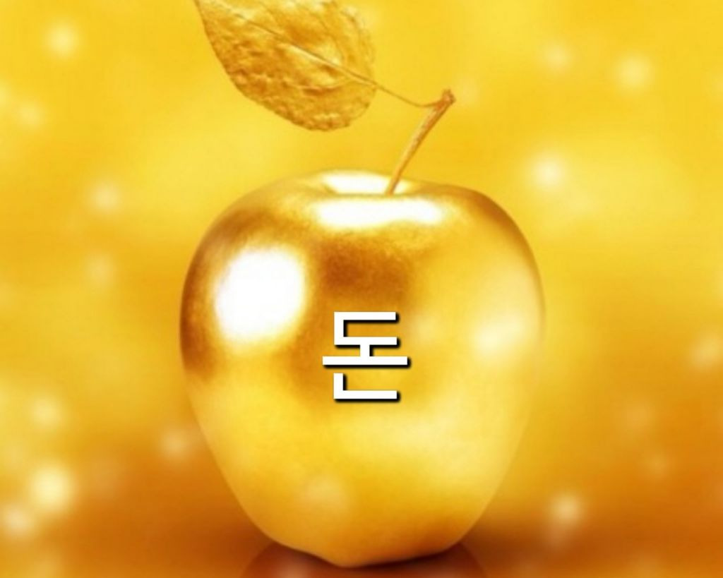이요 이미지
