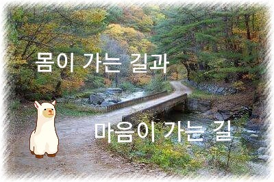 공감 이미지