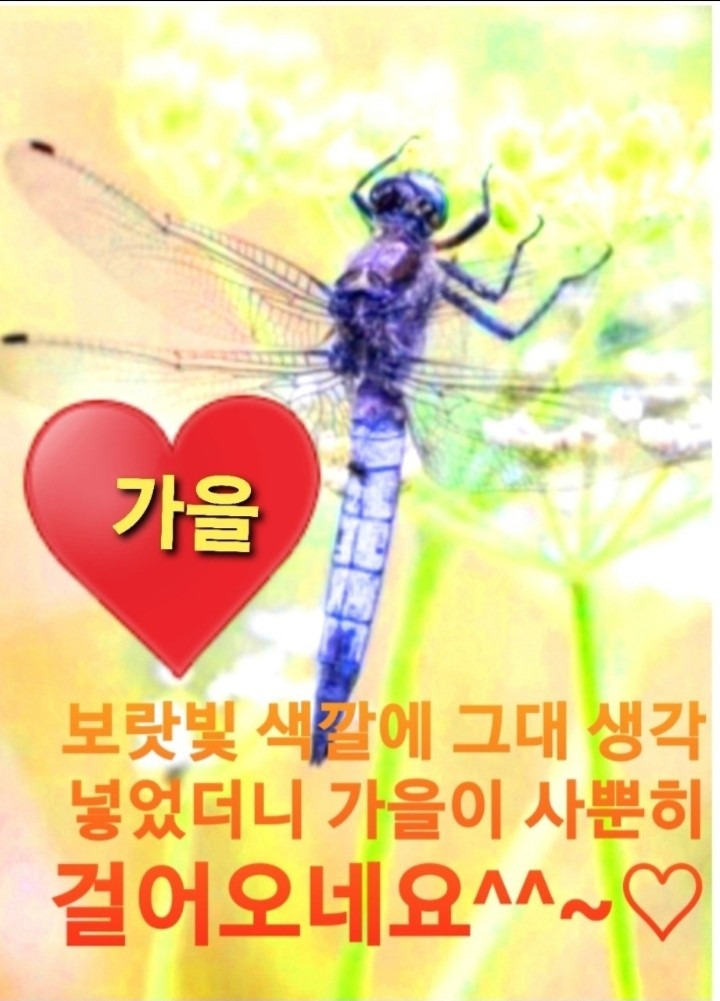 덕담 이미지