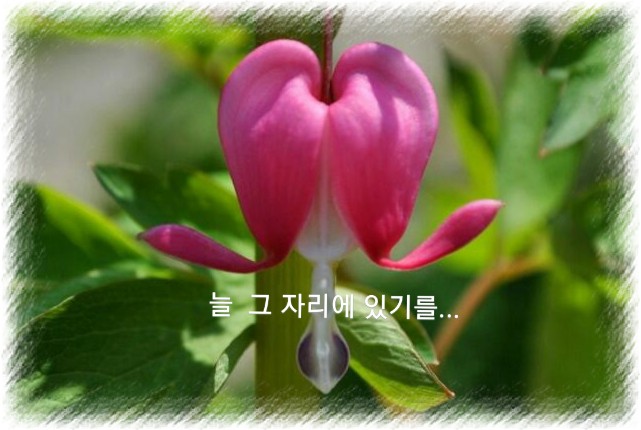 그자리 이미지