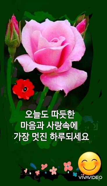 멋진하루 이미지