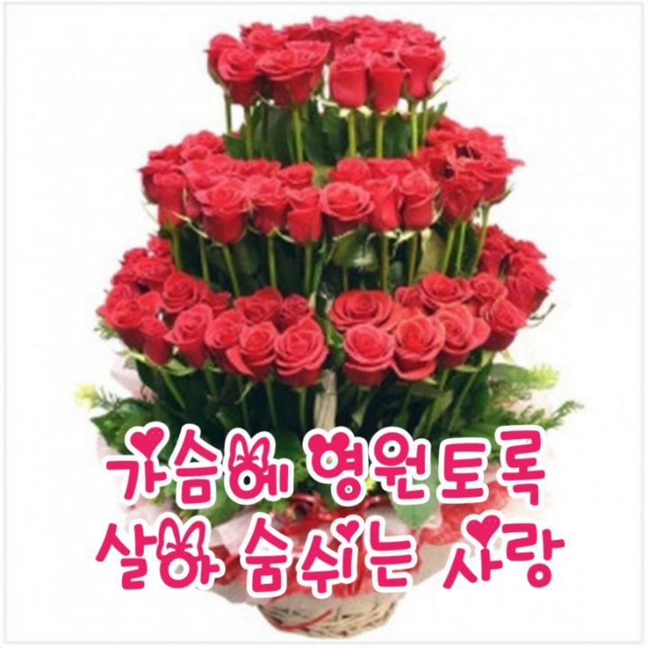 가슴에 영원토록 살아 숨쉬는 사랑 - 🔶️공유 글🔰나눔 - 💜산야와 한울타리💜 가슴에 영원토록 살아 숨쉬는 사랑