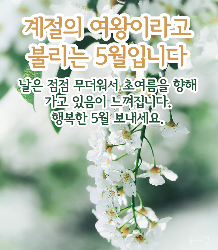 오월하루 이미지