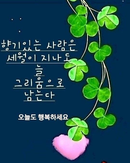 만남의 인연은 소중하게 - ‥‥영상 ♡ 좋은글 - 향기있는 좋은글 만남의 인연은 소중하게