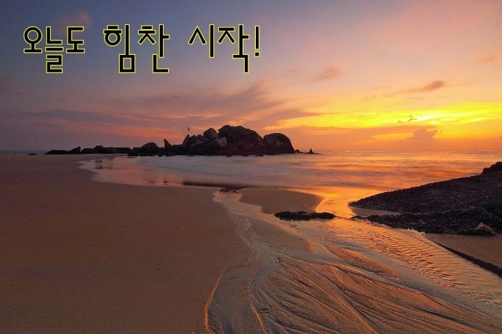 초심 이미지