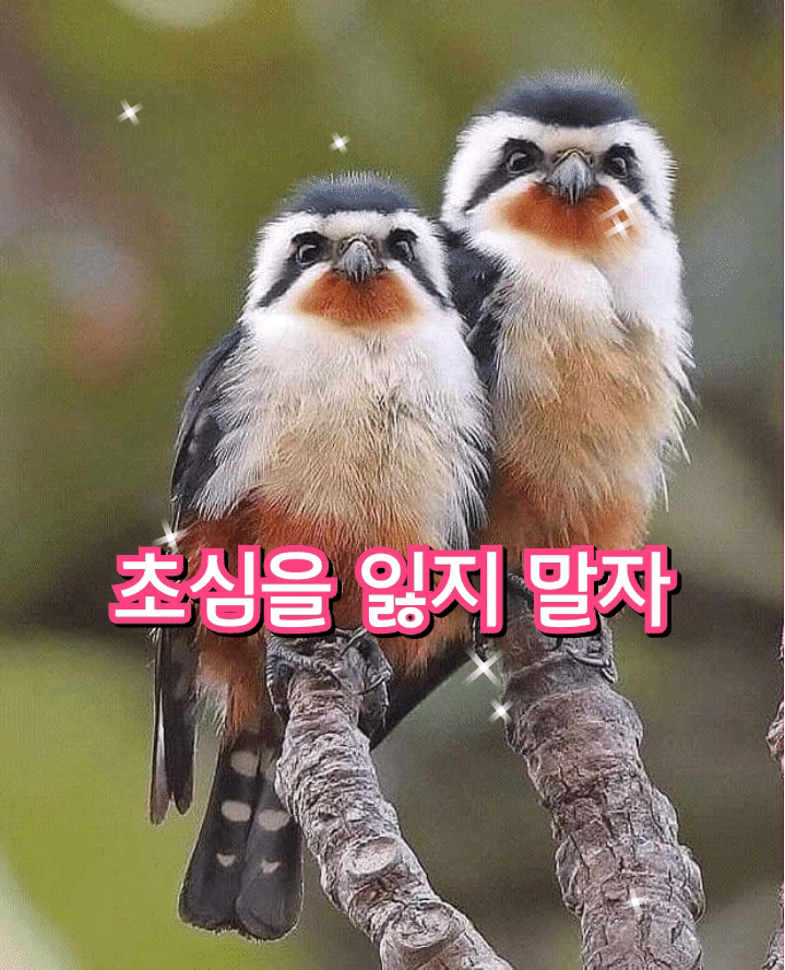 초심을 잃지 말자 - 🔶️공유 글🔰나눔 - 💜산야와 한울타리💜 초심을 잃지 말자
