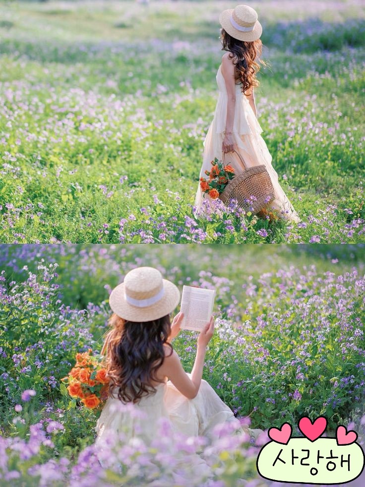 온천지 이미지