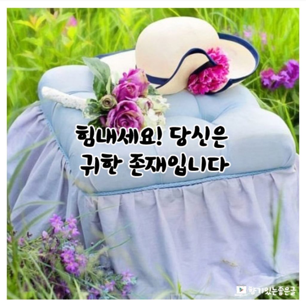 제이존 이미지