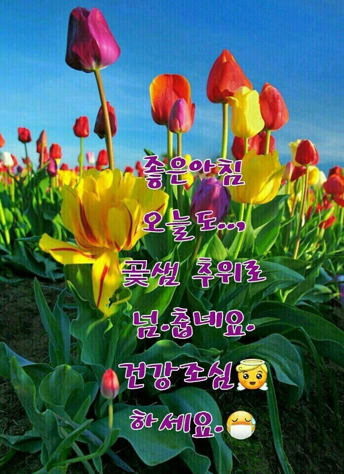 세월은 가는 것이 아니라 오는 것/카톡 이미지 - 🔶️영상 글🎥나눔 - 💜산야와 한울타리💜 세월은 가는 것이 아니라 오는 것/카톡 이미지