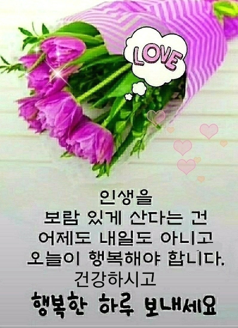 만물 이미지