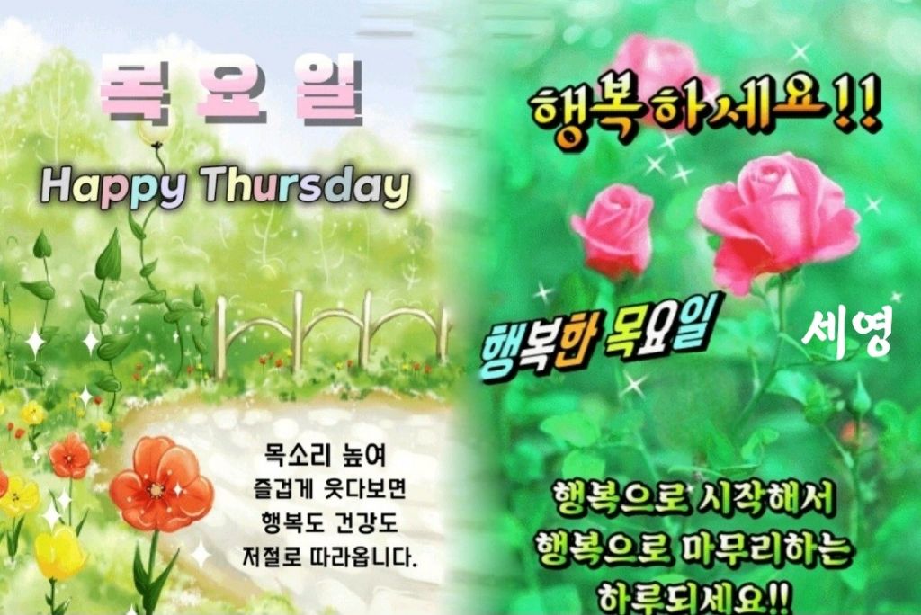 다복 이미지