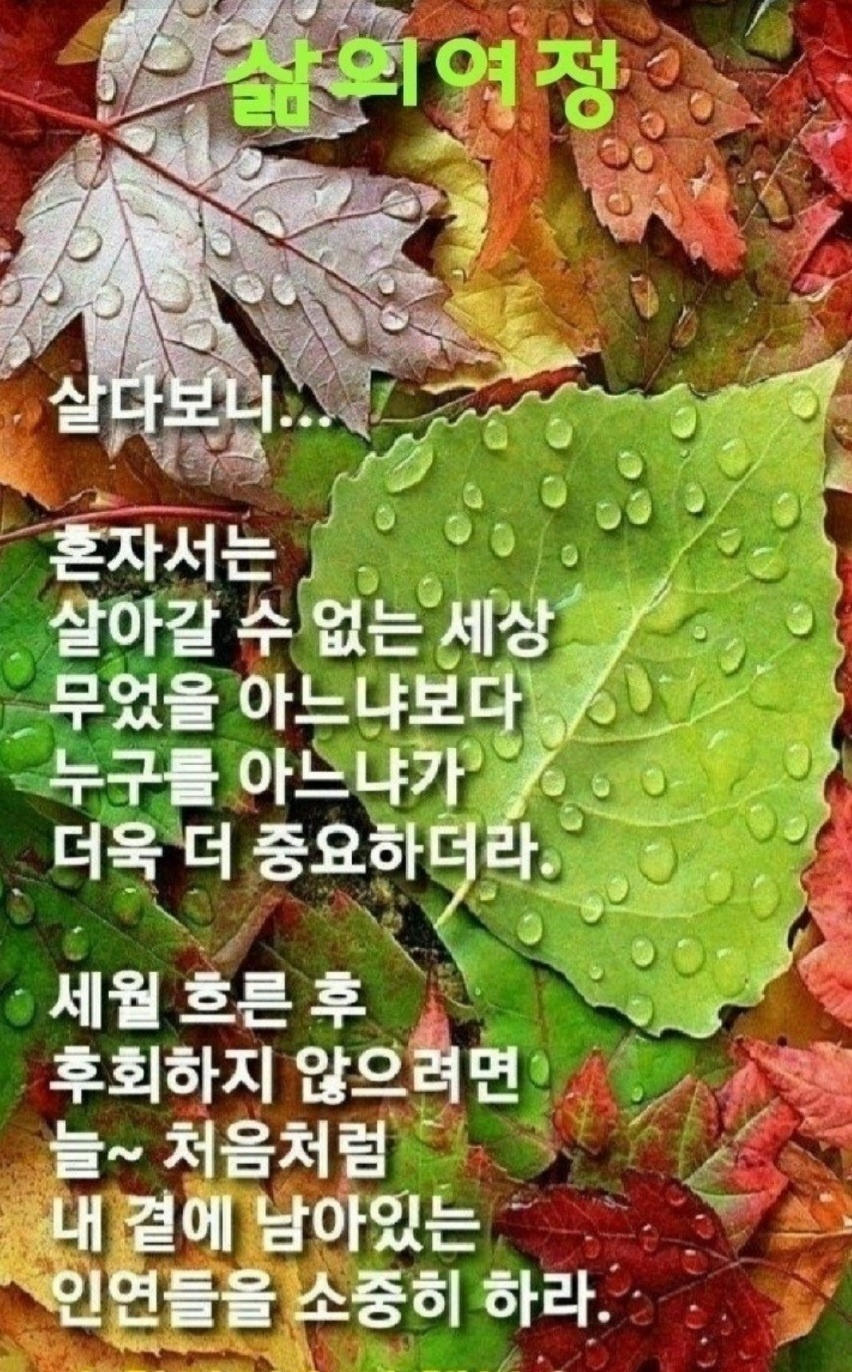 우리;꽃 이미지