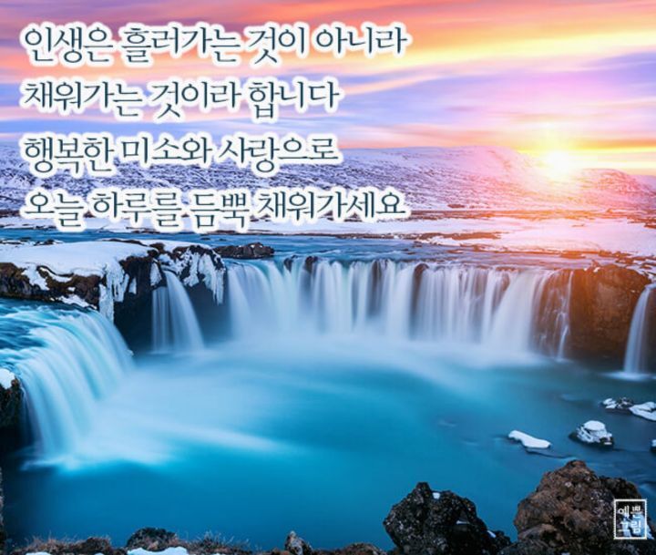 금상첨화 이미지