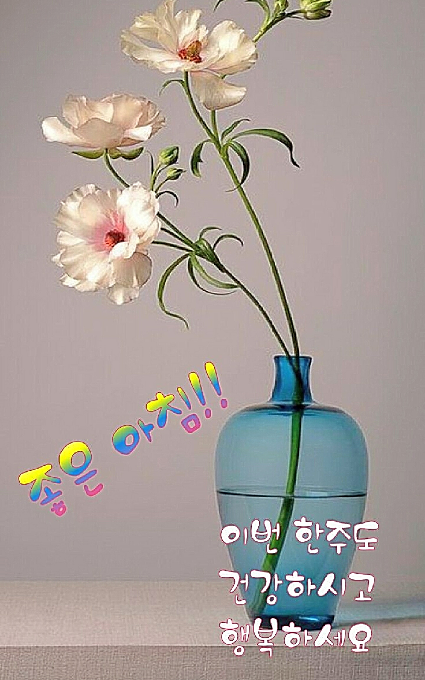 아침 인사말 / 9가지 좋은 글 이미지 - 📷예쁜글움짤이미지(gif) - 💜산야와 한울타리💜