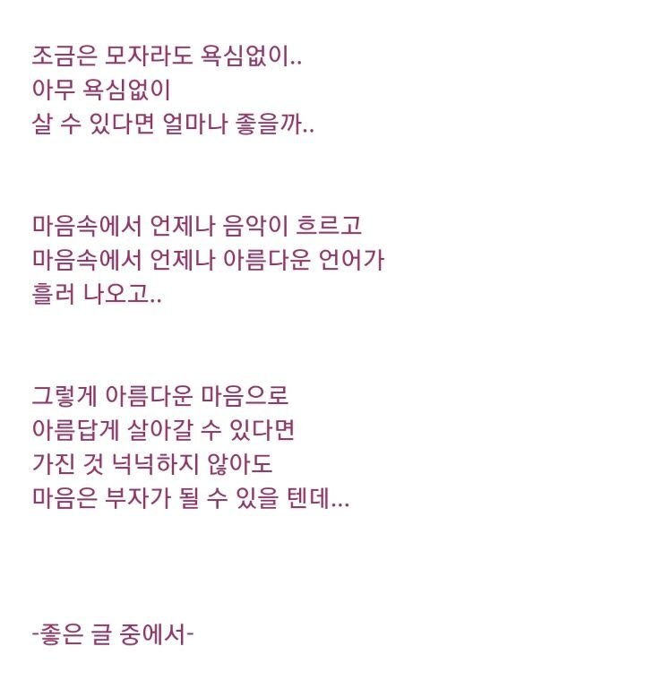 커피나무향기 이미지