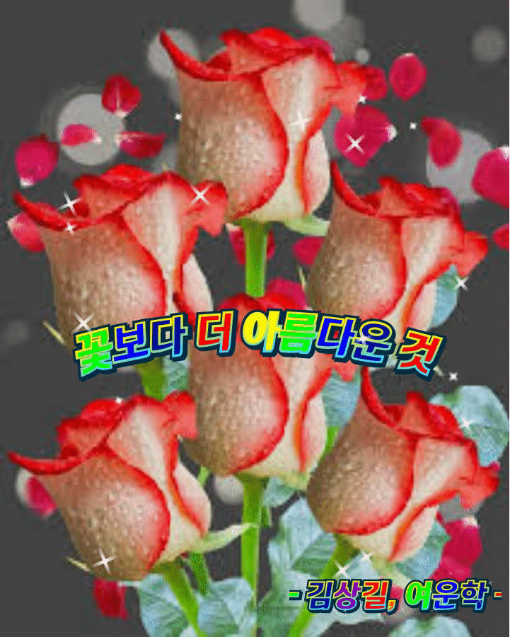 꽃보다 더 아름다운 것 - 🔶️공유 글🔰나눔 - 💜산야와 한울타리💜 꽃보다 더 아름다운 것 