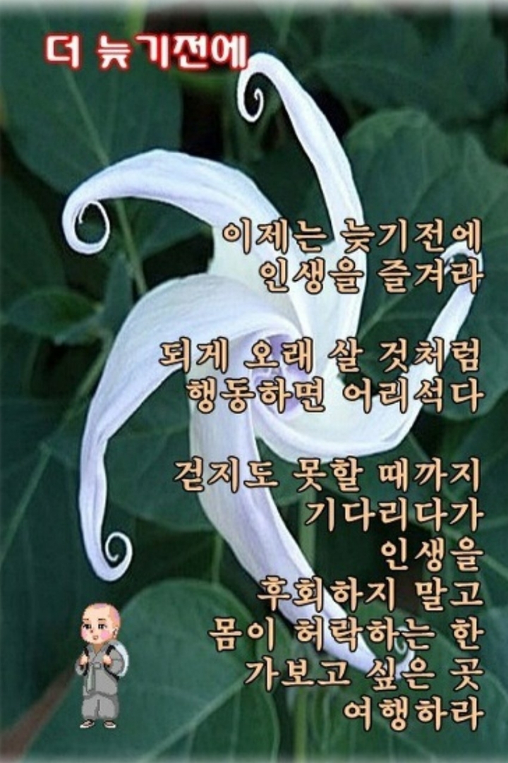 더 늦기전에 - 📷예쁜글움짤이미지(gif) - 💜산야와 한울타리💜 더 늦기전에