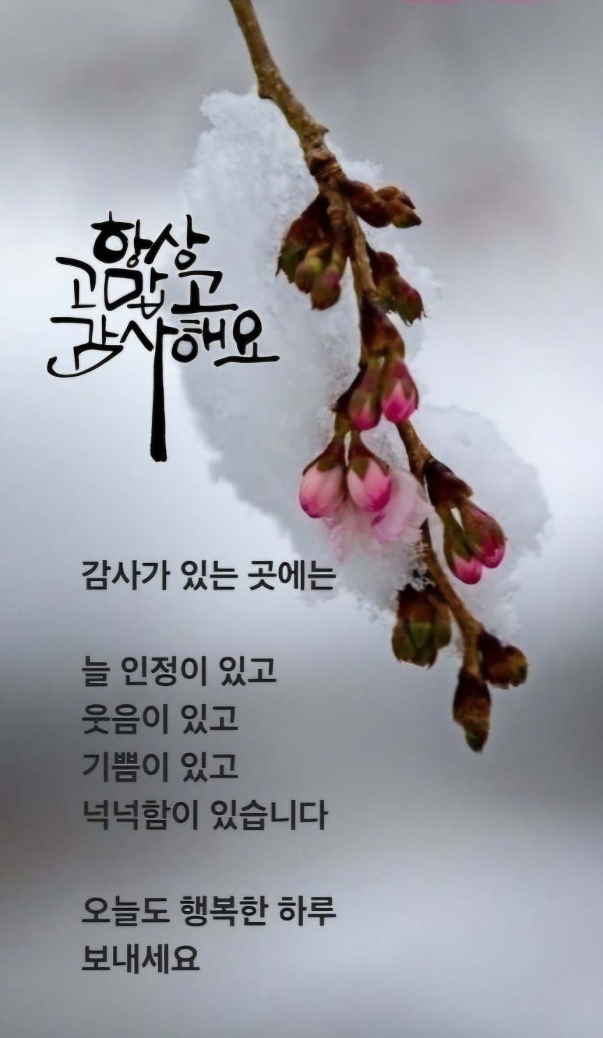 느낌표 이미지