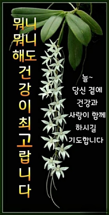 건강최고 이미지
